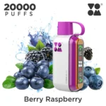 VOOM Cobble 20000 Puffs Berry Raspberry 5%