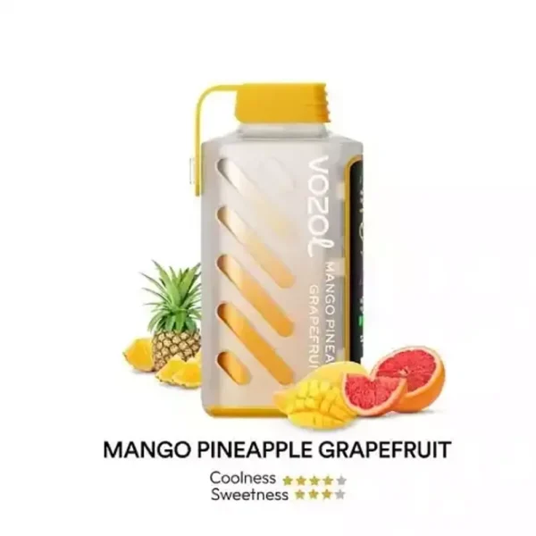 elfbar elfa master akku VOZOL Gear Power Mango Pineapple grapefruits 20000 Puffs 50mg