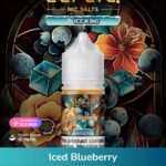 ELFLIQ NIC SALTS Iced Blueberry