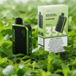 Smooth Allo 35000 puffs 20mg Miami Mint